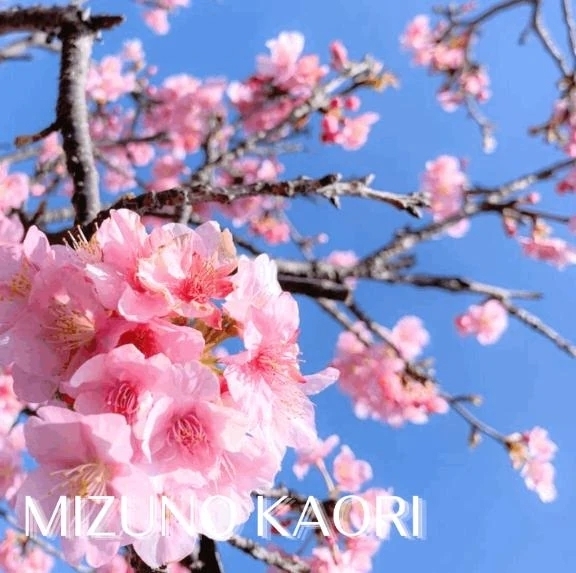 きょう｜写メ日記｜水野香織(みずのかおり)｜鶯谷 人妻デリヘル 鶯谷ナンバーワン