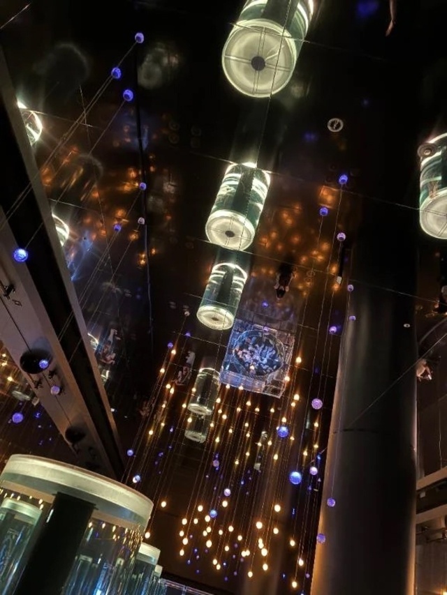 明日は…｜写メ日記｜さくら｜鶯谷 人妻デリヘル One More 奥様 鶯谷店