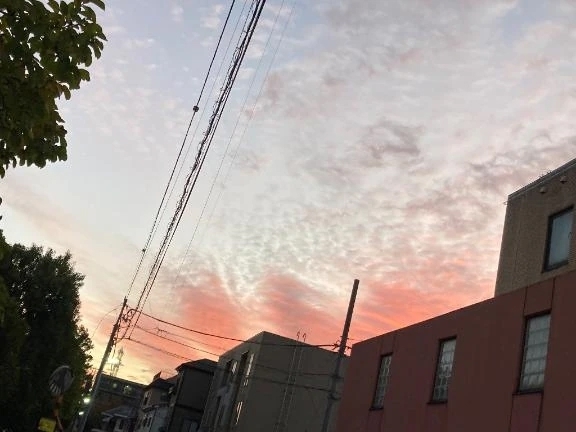 明日から～｜写メ日記｜らむ｜鶯谷 人妻デリヘル One More 奥様 鶯谷店