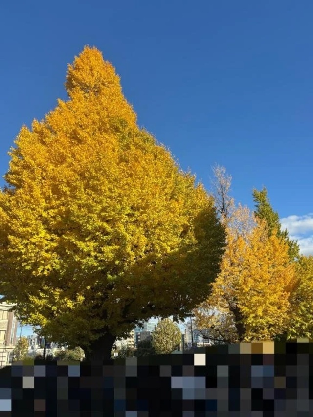 キレイだったよ✨🍂🤗｜写メ日記｜なな｜鶯谷 人妻デリヘル One More 奥様 鶯谷店