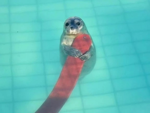 あれ？｜写メ日記｜みる｜鶯谷 人妻デリヘル One More 奥様 鶯谷店