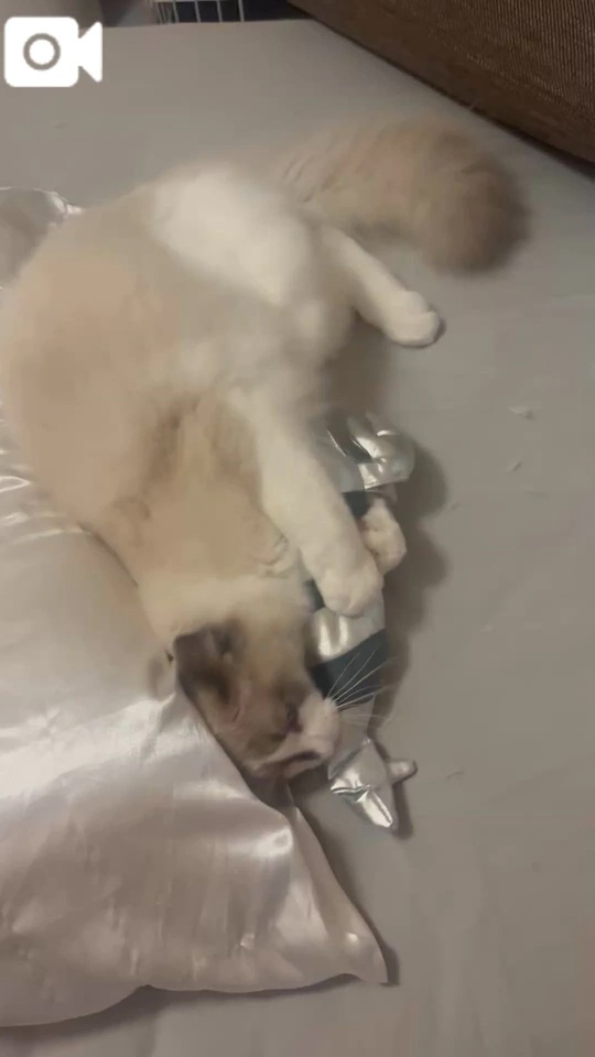 ‌　‌　‌　‌　‌　‌　‌　‌　‌ ‌‌‌‌ ‌