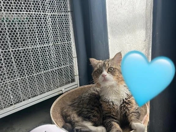 バレンタインだって〜🍫❤️