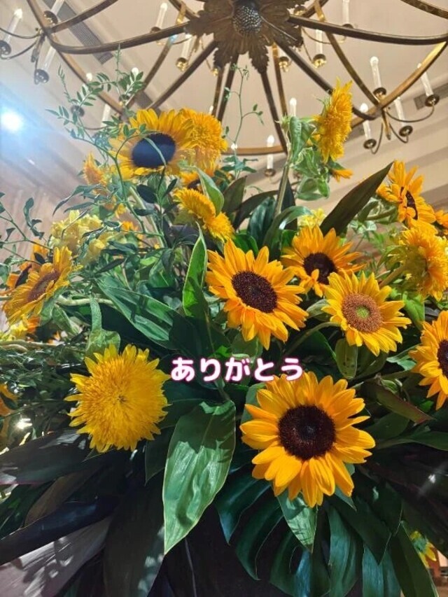 ありがとうございました💌｜写メ日記｜こころ｜鶯谷 出張M性感 変態なんでも鑑定団