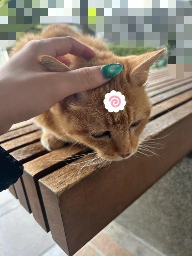 予定出しました！｜写メ日記｜せつな｜鶯谷 出張M性感 変態なんでも鑑定団