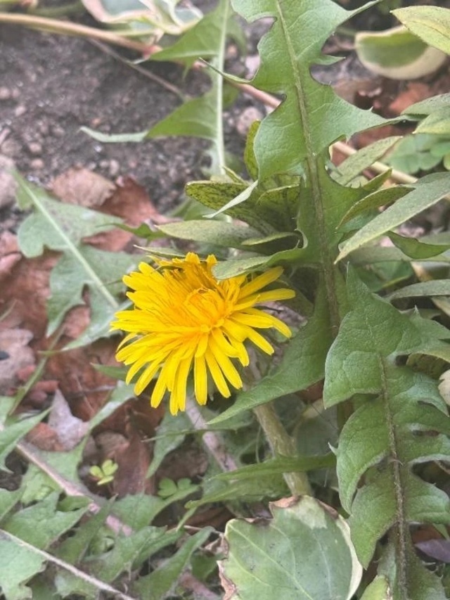‪🔆‬🌸🍰🛁｜写メ日記｜あの｜鶯谷 出張M性感 変態なんでも鑑定団
