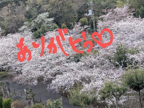 お礼☆｜写メ日記｜れん｜鶯谷 出張M性感 変態なんでも鑑定団