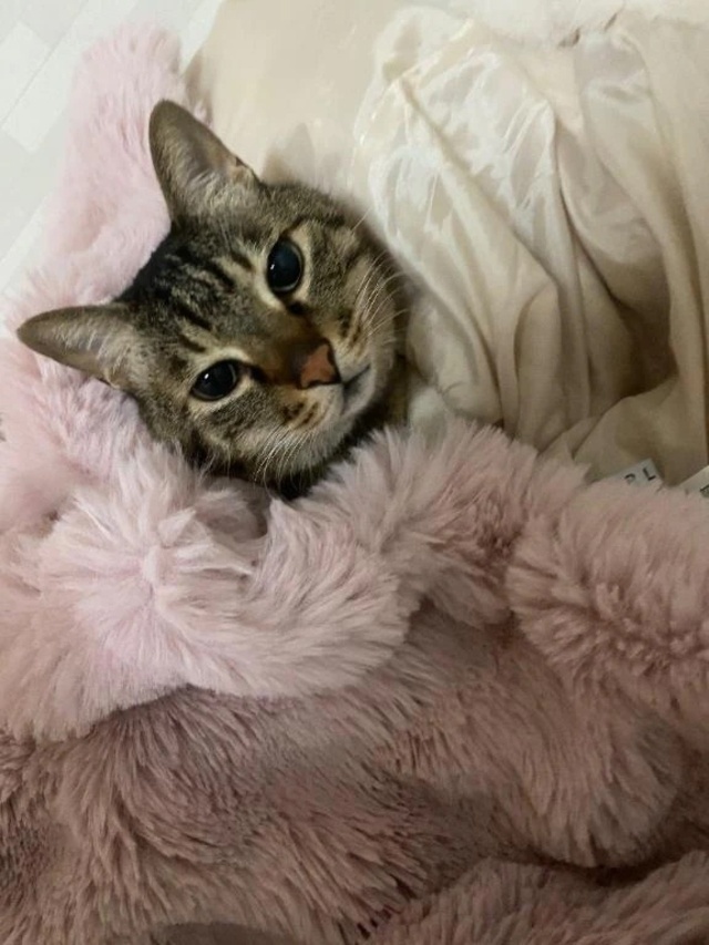 次は金曜日！｜写メ日記｜あお｜鶯谷 出張M性感 変態なんでも鑑定団