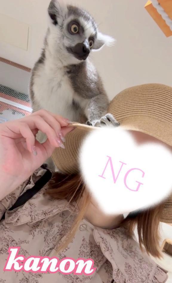 しゅっきん。｜写メ日記｜かのん｜大塚・巣鴨 一般デリヘル 大塚アテネ