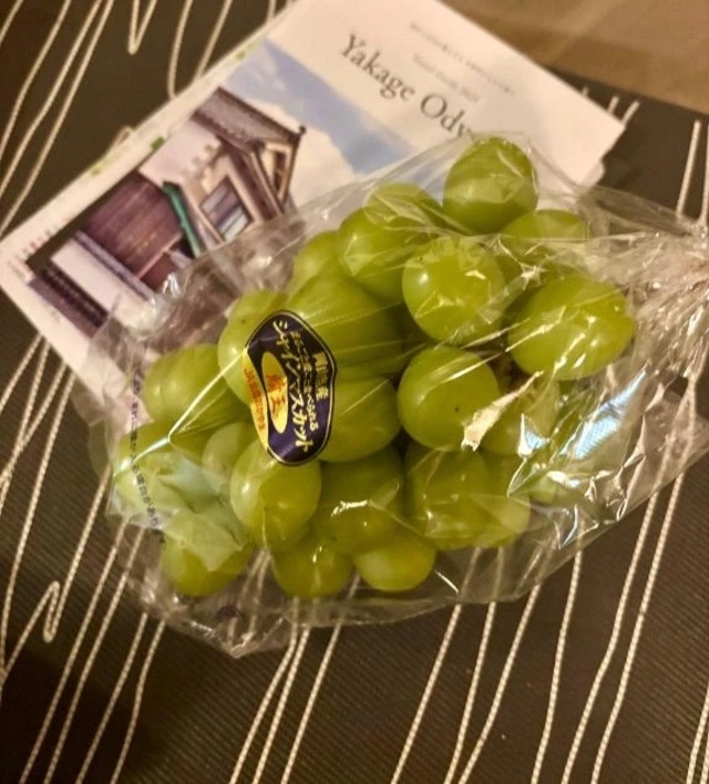 昨日のお礼&次回水曜