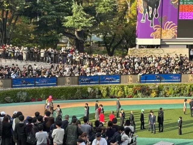 明日出勤夜〜｜写メ日記｜まひろ｜大塚・巣鴨 一般デリヘル 大塚アテネ