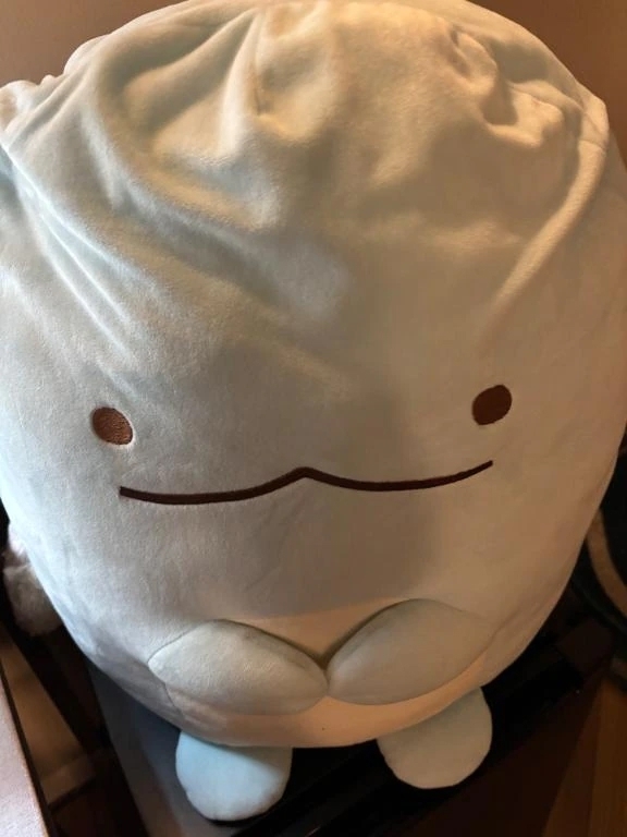 昨日のお礼&次回水曜(予定