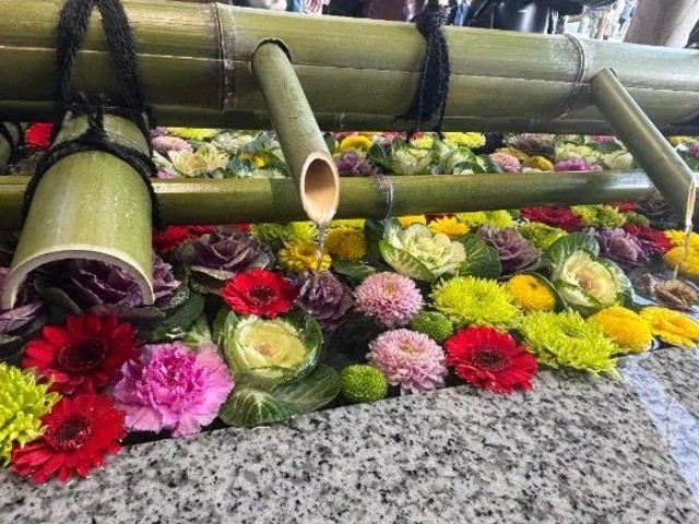 新年の挨拶｜写メ日記｜まひろ｜大塚・巣鴨 一般デリヘル 大塚アテネ