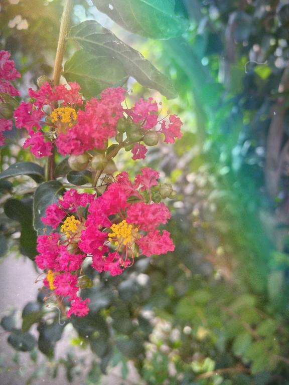 うぅ〜｜写メ日記｜宮本　さやか｜鶯谷 人妻デリヘル 東京ローズマリー