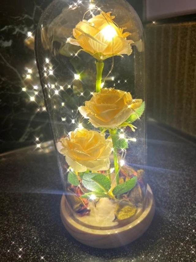 ありがとうの気持ち｜写メ日記｜一ノ瀬　りこ｜鶯谷 人妻デリヘル 東京ローズマリー