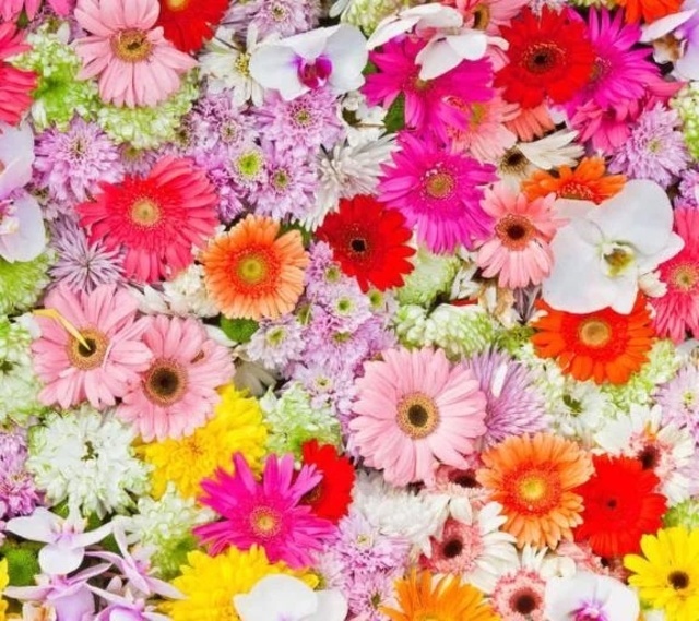 こんちには｜写メ日記｜樋口　愛莉｜鶯谷 人妻デリヘル 東京ローズマリー