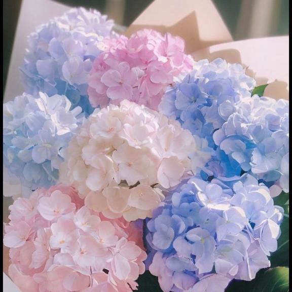 ♡雨の日のひとやすみに…♡｜写メ日記｜工藤　さき｜鶯谷 人妻デリヘル 東京ローズマリー