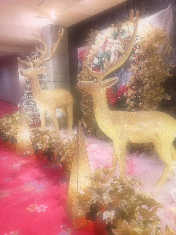 Merry Xmas🌲✨｜写メ日記｜柏木　あずさ｜鶯谷 人妻デリヘル 東京ローズマリー