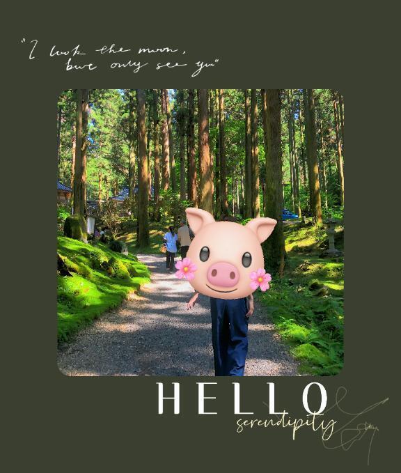 口コミ⭐︎4.6｜写メ日記｜神木　りさ｜鶯谷 人妻デリヘル 東京ローズマリー