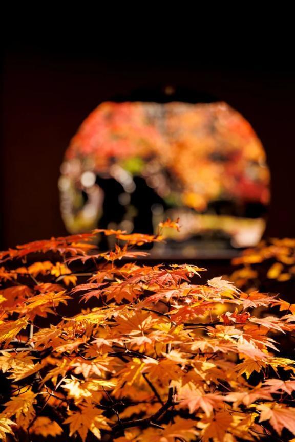 か⚪︎ち、せ⚪︎くすしよ。｜写メ日記｜前田　優｜鶯谷 人妻デリヘル 東京ローズマリー