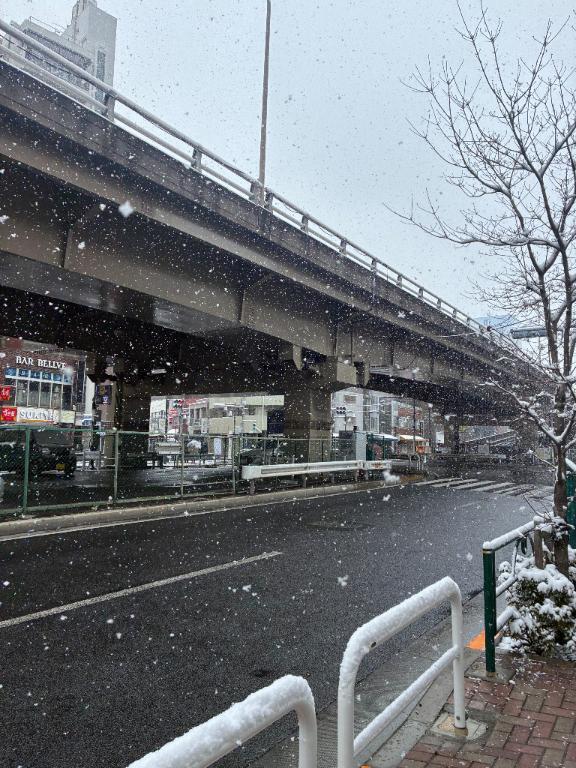 雪やこんこん。｜写メ日記｜前田　優｜鶯谷 人妻デリヘル 東京ローズマリー