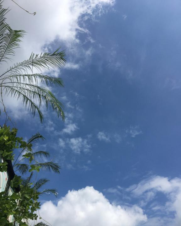 おはようございます🌤｜写メ日記｜瀬名　麻衣子｜鶯谷 人妻デリヘル 東京ローズマリー