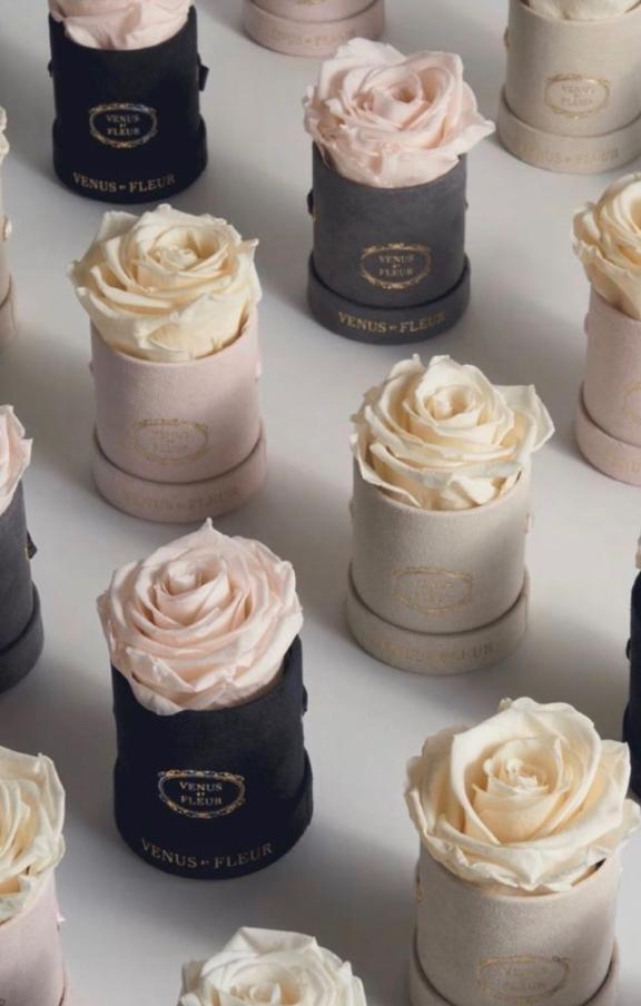 明日は🌸｜写メ日記｜瀬名　麻衣子｜鶯谷 人妻デリヘル 東京ローズマリー