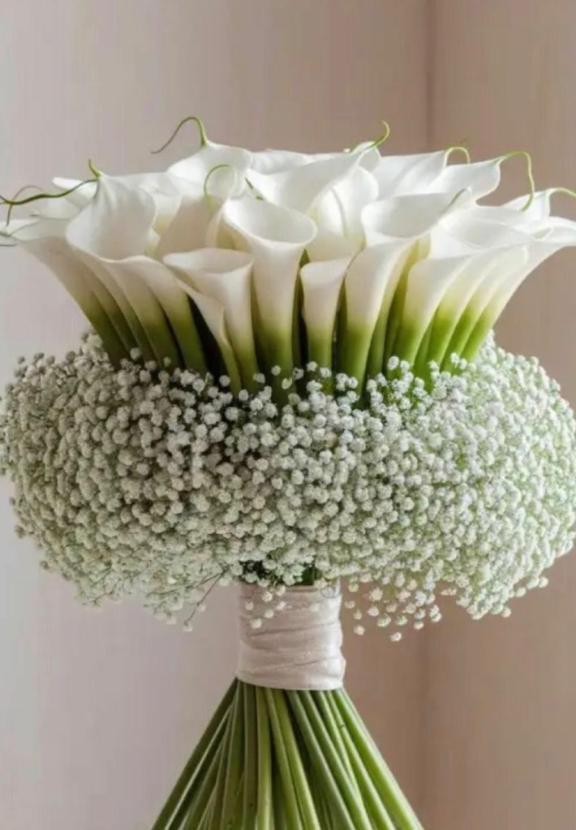 明日は🌸｜写メ日記｜瀬名　麻衣子｜鶯谷 人妻デリヘル 東京ローズマリー