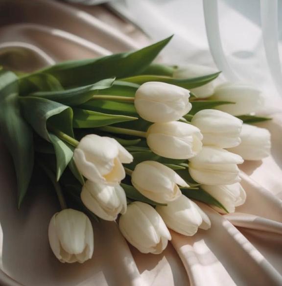 明日は✨｜写メ日記｜瀬名　麻衣子｜鶯谷 人妻デリヘル 東京ローズマリー