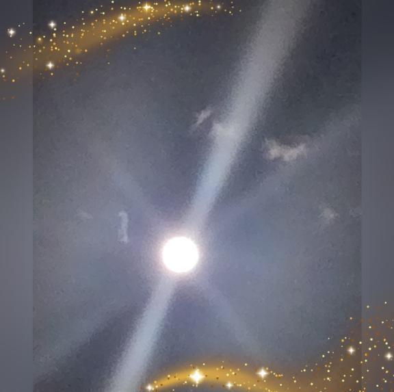 こんばんは｜写メ日記｜広末明日香｜鶯谷 人妻デリヘル 東京ローズマリー