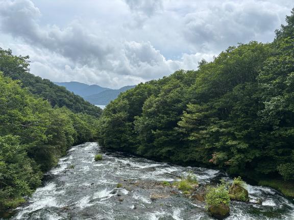 晴れ女｜写メ日記｜白井　なぎさ｜鶯谷 人妻デリヘル 東京ローズマリー