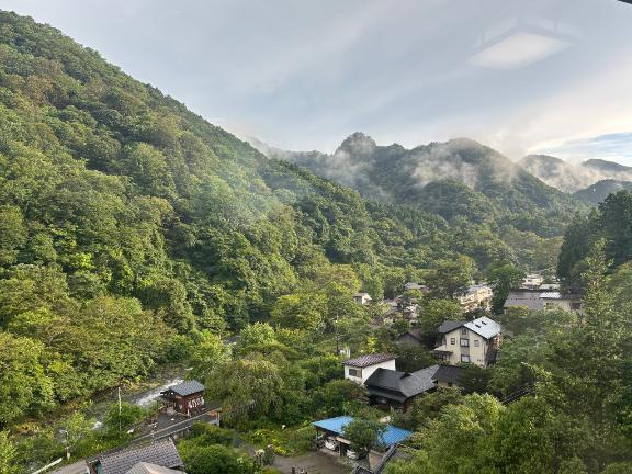日光旅行記｜写メ日記｜白井　なぎさ｜鶯谷 人妻デリヘル 東京ローズマリー