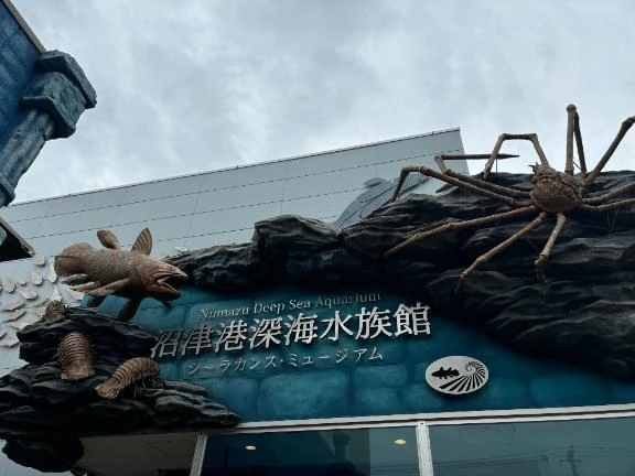 神無月｜写メ日記｜白井　なぎさ｜鶯谷 人妻デリヘル 東京ローズマリー