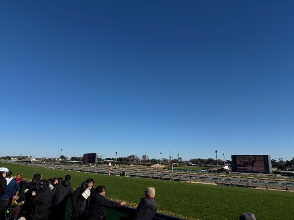 明けましておめでとうございます｜写メ日記｜白井　なぎさ｜鶯谷 人妻デリヘル 東京ローズマリー