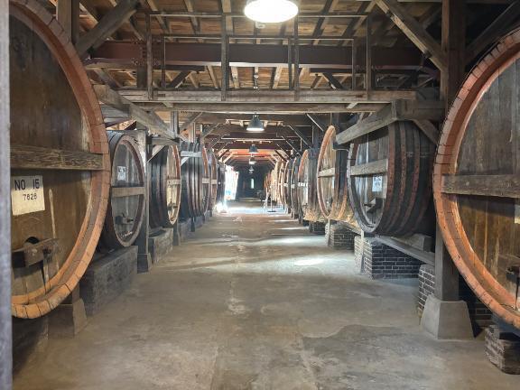 生まれ故郷へ｜写メ日記｜白井　なぎさ｜鶯谷 人妻デリヘル 東京ローズマリー