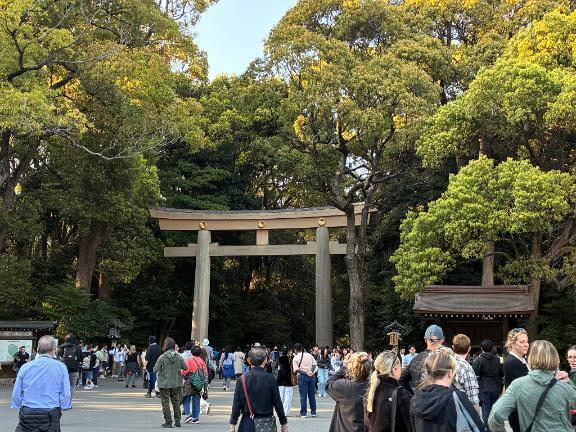 明治神宮｜写メ日記｜白井　なぎさ｜鶯谷 人妻デリヘル 東京ローズマリー
