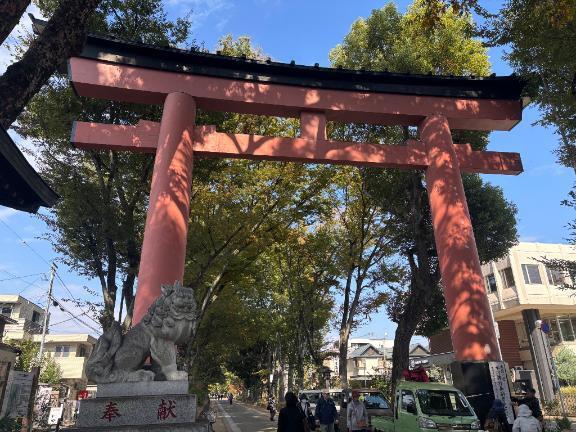 炬燵とサヨナラ｜写メ日記｜白井　なぎさ｜鶯谷 人妻デリヘル 東京ローズマリー