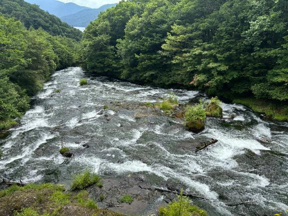 夏の足音｜写メ日記｜白井　なぎさ｜鶯谷 人妻デリヘル 東京ローズマリー