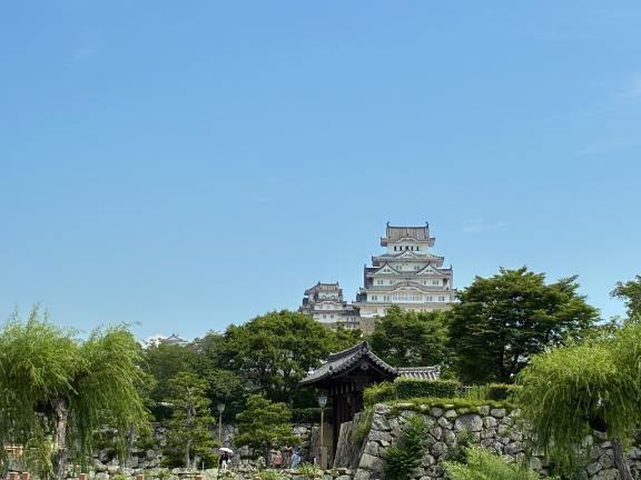 旅行から帰って来ました｜写メ日記｜白井　なぎさ｜鶯谷 人妻デリヘル 東京ローズマリー