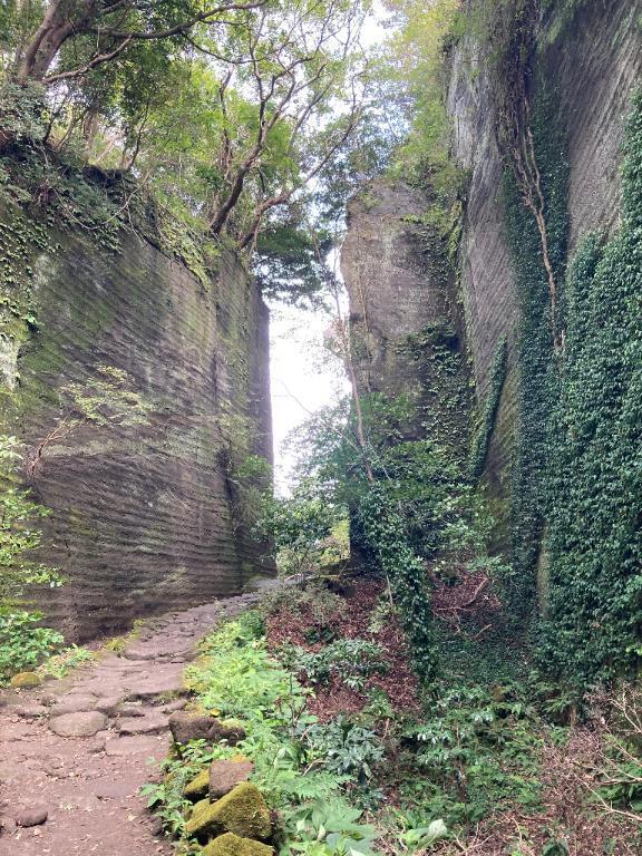 明けましておめでとうございます🎍｜写メ日記｜有賀百合子｜鶯谷 人妻デリヘル 東京ローズマリー