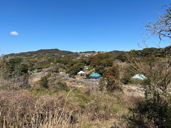 明日ご予約頂いてるお客様へ｜写メ日記｜有賀百合子｜鶯谷 人妻デリヘル 東京ローズマリー