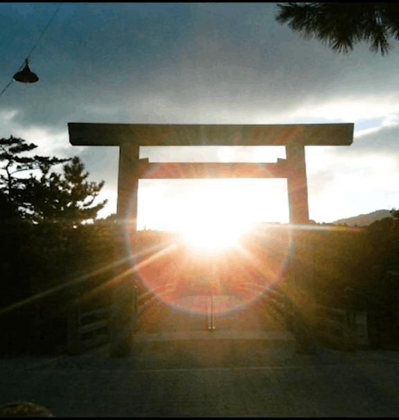 🎍新年ご挨拶🎍｜写メ日記｜米倉 栞(しおり)｜鶯谷 人妻デリヘル 東京ローズマリー