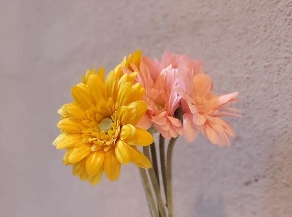 こんばんは｜写メ日記｜仲村いずみ｜鶯谷 人妻デリヘル 東京ローズマリー