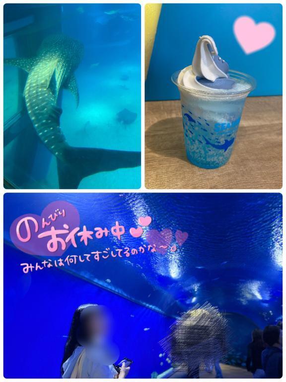 お久しぶりの海遊館🐠♪｜写メ日記｜浜辺　蘭｜鶯谷 人妻デリヘル 東京ローズマリー