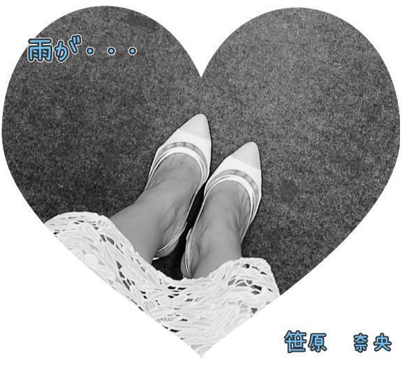 ちょっと肌寒い｜写メ日記｜笹原奈央｜鶯谷 人妻デリヘル 東京ローズマリー