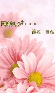 点滴は最強｜写メ日記｜笹原奈央｜鶯谷 人妻デリヘル 東京ローズマリー