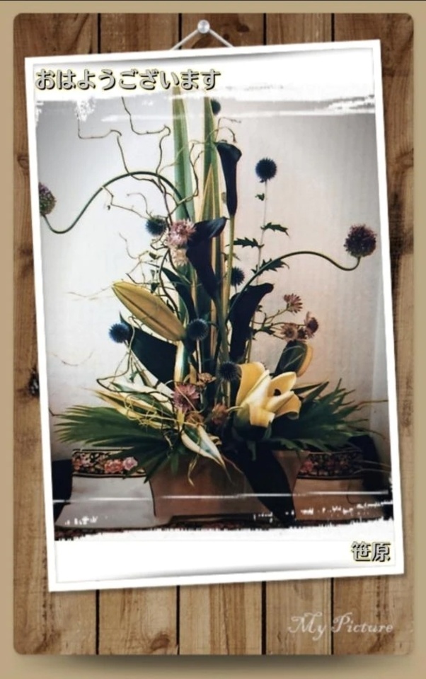 おはようございます｜写メ日記｜笹原奈央｜鶯谷 人妻デリヘル 東京ローズマリー