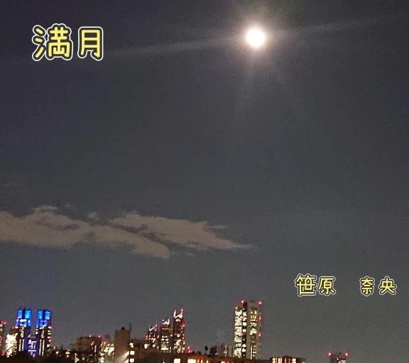 興奮｜写メ日記｜笹原奈央｜鶯谷 人妻デリヘル 東京ローズマリー