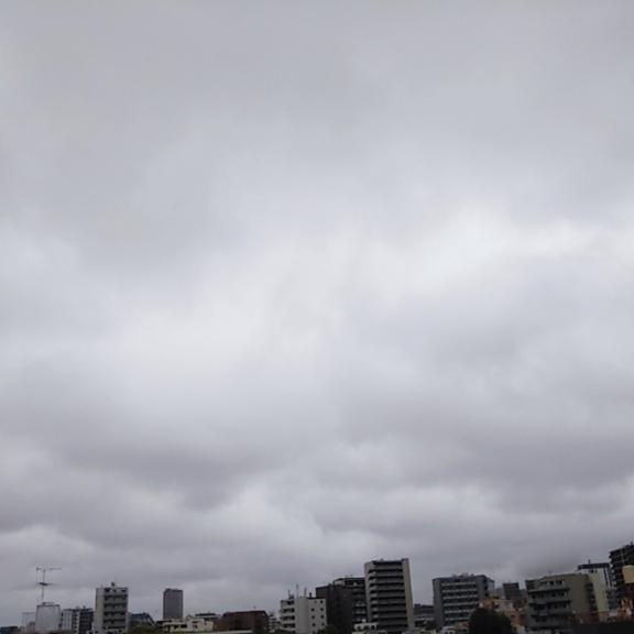 雨上がり🌂｜写メ日記｜松浦かえで｜鶯谷 人妻デリヘル 東京ローズマリー