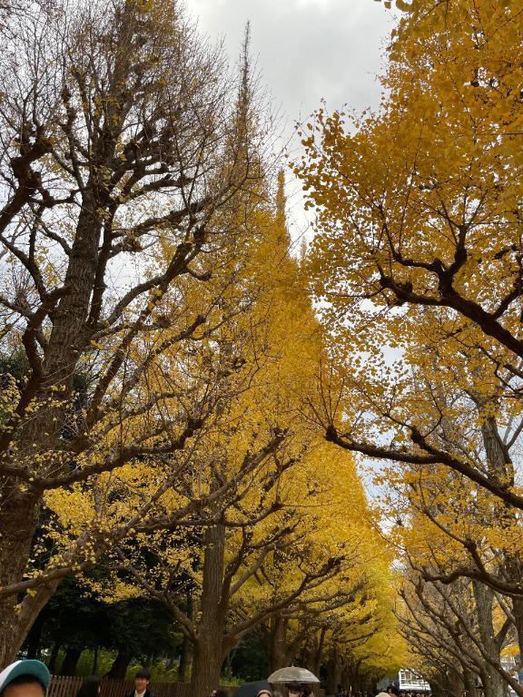 おはようございます！｜写メ日記｜野々村　りえ｜鶯谷 人妻デリヘル 東京ローズマリー